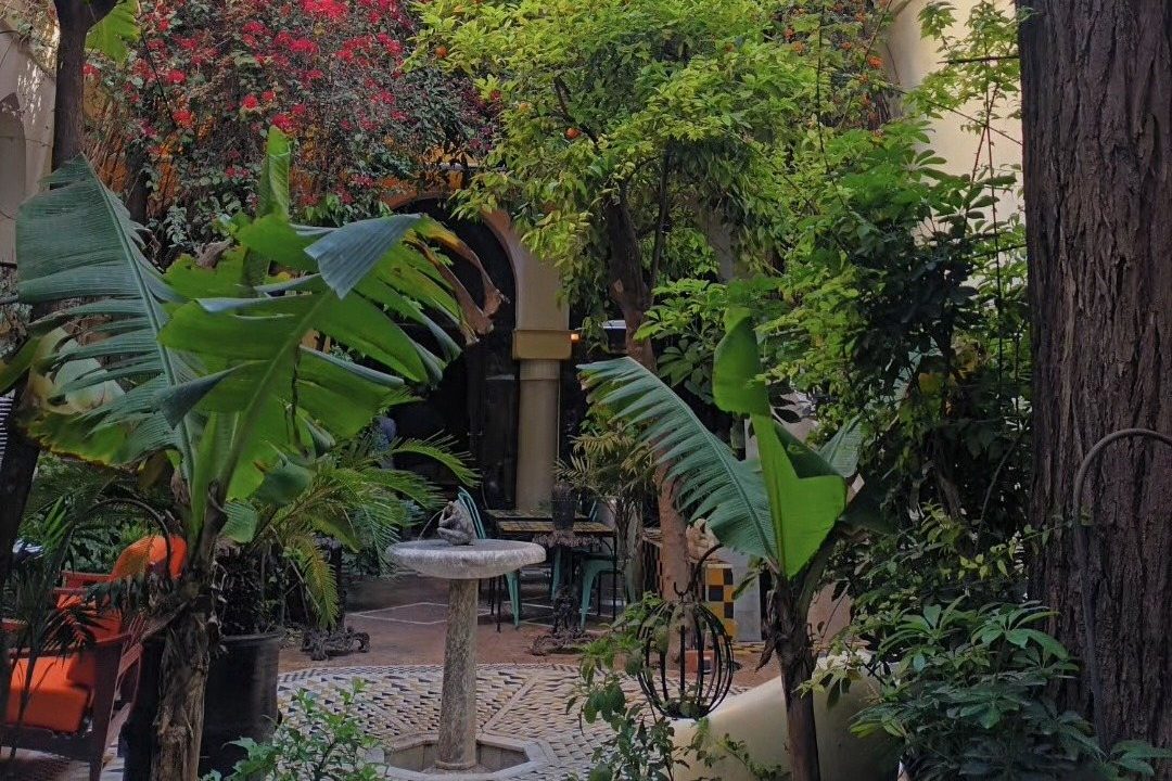 L'un des deux patios du Riad Malika, avec sa fontaine, ses arcades et sa végétation