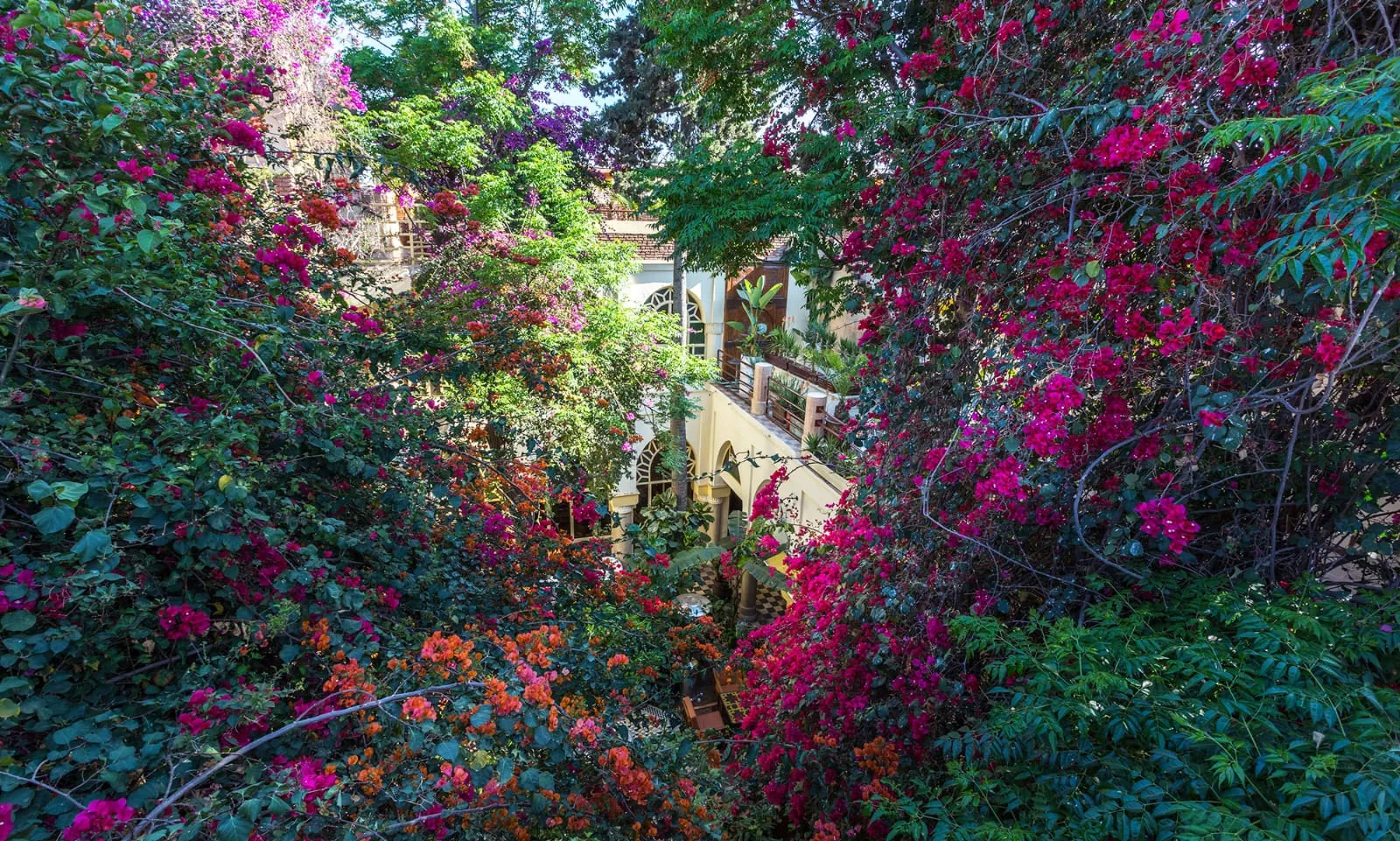 The Riad Malika garden, overflowing with bougainvillea, seen from a terrace